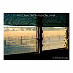 View through a window onto farmland, Western Australia.